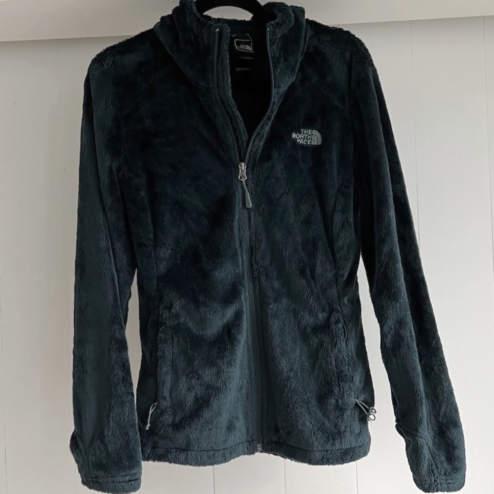 The North Face Women’s Osito Jacket - Balsam Green